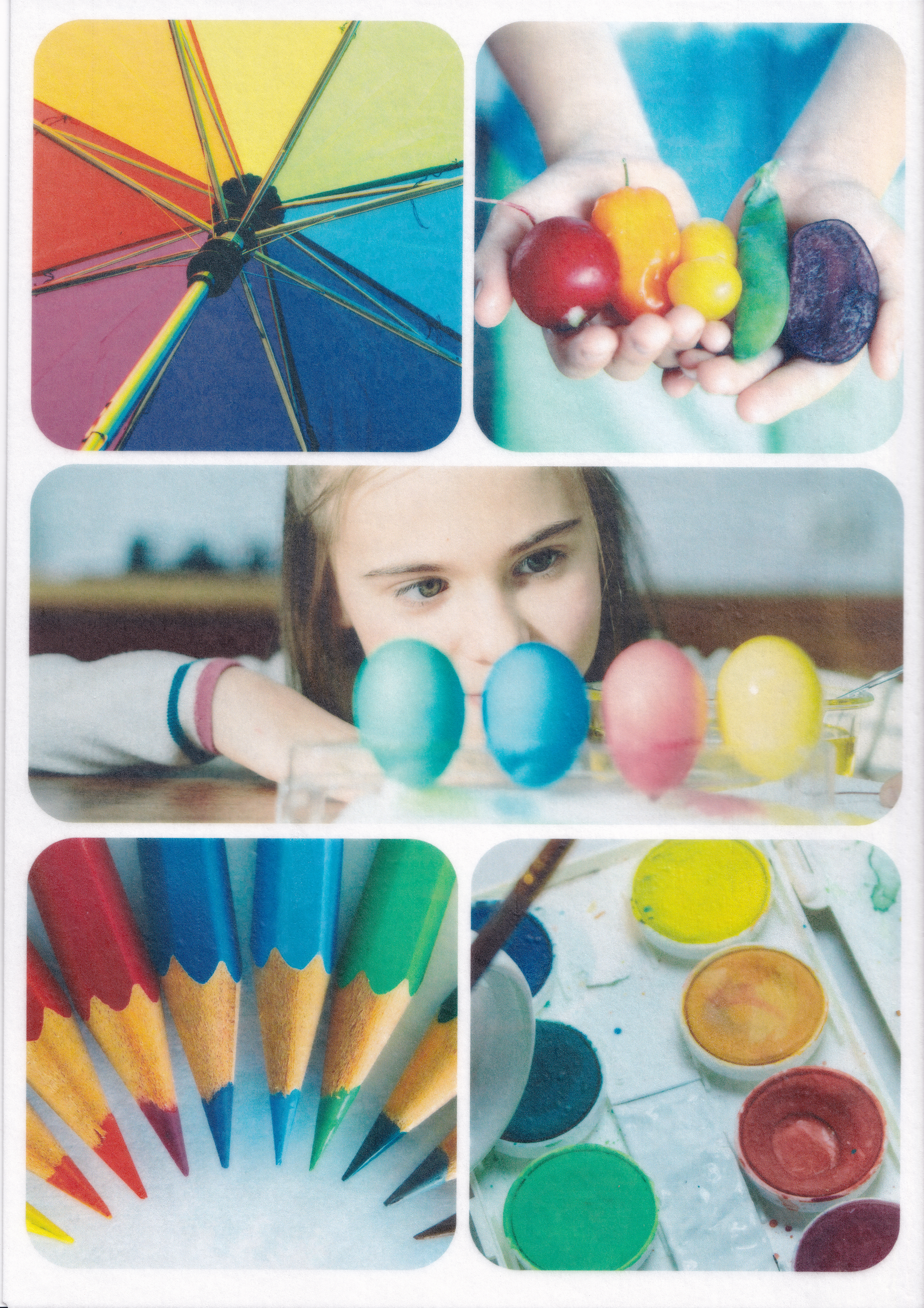 Wafer Paper (Format : A3 | Edition : Premium | Content: 50 sheets)